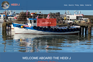 Heidi-J website image